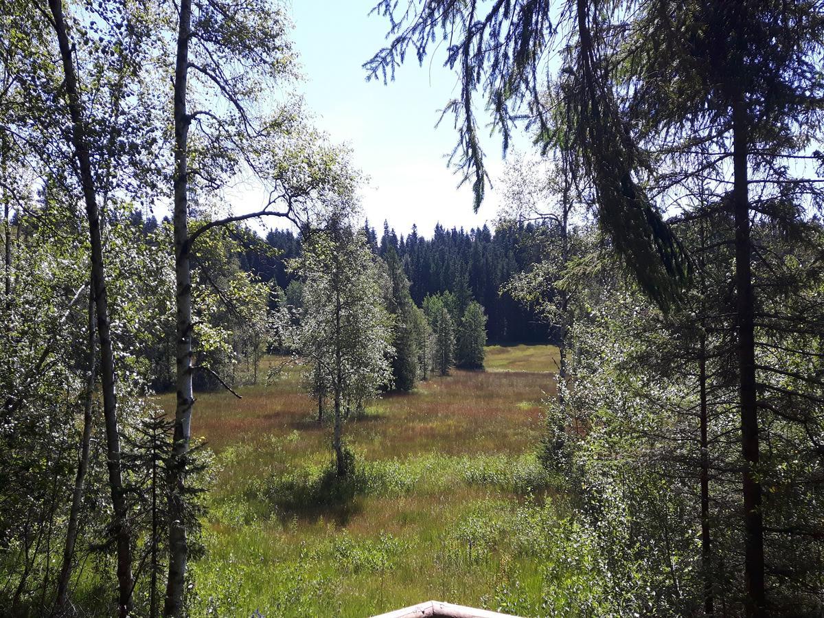 Ferienwohnung Sonnenschein Heimenkirch Экстерьер фото